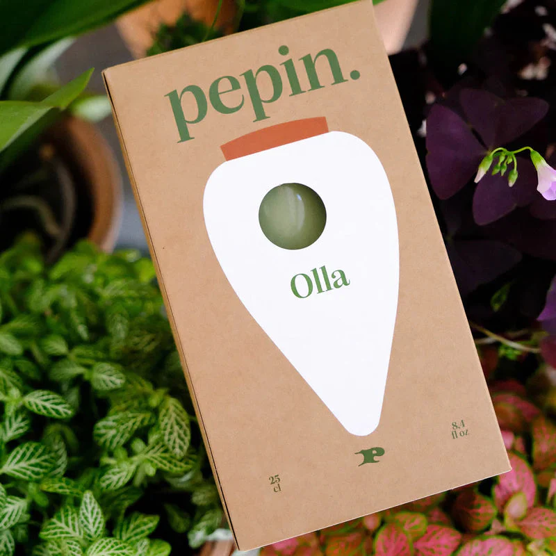 Olla Green - Image 4