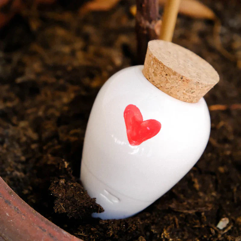 Olla Heart - Image 2